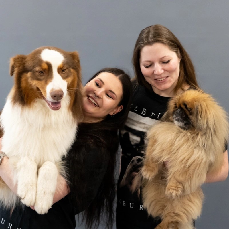 gruppen bild 2 frauen mit ihren hunden aufm arm